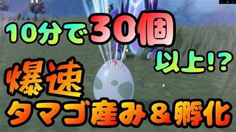 【厳選必見】タマゴを最速でゲットして爆速で孵化させる方法【ポケモンスカーレット・バイオレット】 Youtube