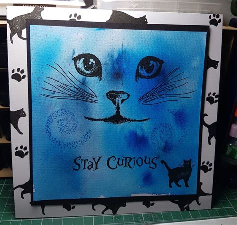 Pin By Lana Hamlin On Crafts Image Stamp Pretty Cards Crazy Cats