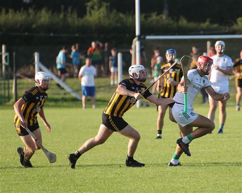 In Pictures: Fans flock to Fedamore for Limerick SHC clash between