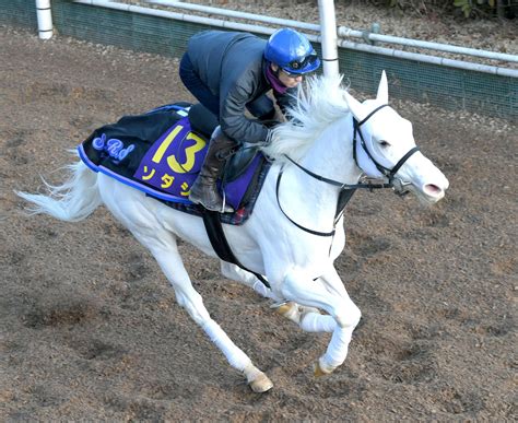 【フェブラリーs】白毛馬ソダシ ダートg1初制覇へ順調 須貝師「雰囲気はいい」 競馬ニュース