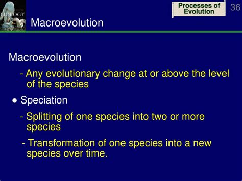 Ppt Microevolution Powerpoint Presentation Free Download Id1090357