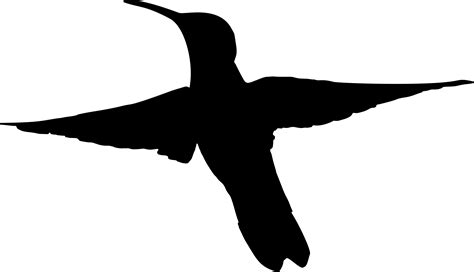 Hummingbird Silhouette Clipart Best