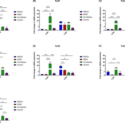 Messenger Rna Mrna Expression Of Pattern Recognition Receptors Prrs