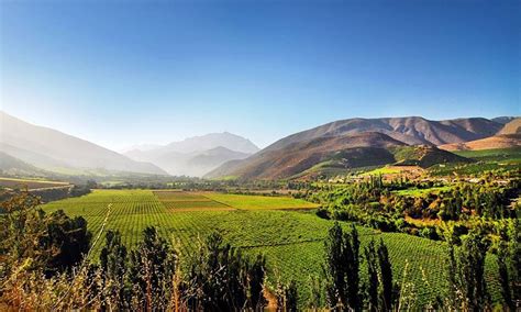 Los Terroirs Del Mundo Limar La Canaster A