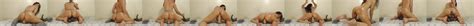 Oiled Dirty Talking Assondra With A Big Clapping Ass XHamster