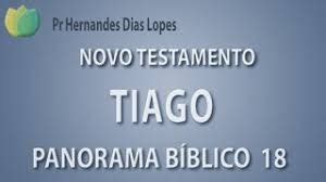 Em Busca Do Jesus Hist Rico Panorama B Blico Novo Testamento Livro