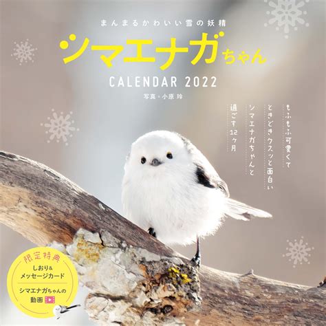 楽天ブックス まんまるかわいい雪の妖精シマエナガちゃんcalendar（2022） 9784295012139 本