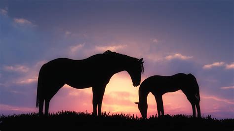 Cute Horse Desktop Wallpapers - Top Free Cute Horse Desktop Backgrounds ...