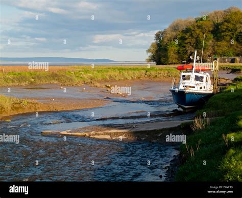 Tidal mudflats of the River Taf estuary in Laugharne Carmarthenshire