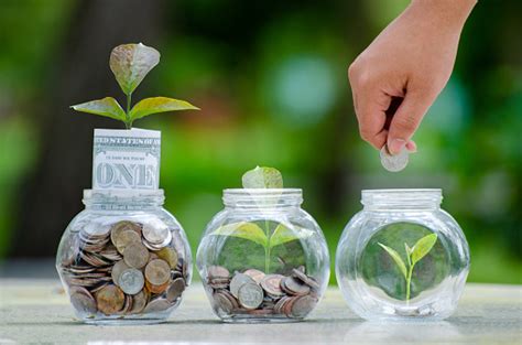 coin tree glass jar plant growing  coins   glass jar