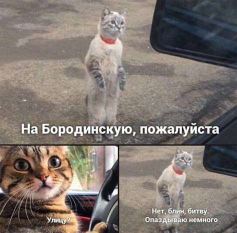 Свежая порция отличного юмора