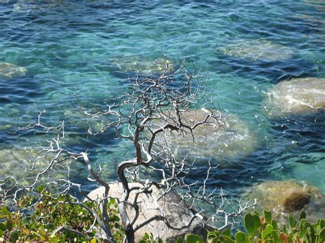 Crystal Clear Lake Tahoe Photograph by Lydia Jenks | Fine Art America