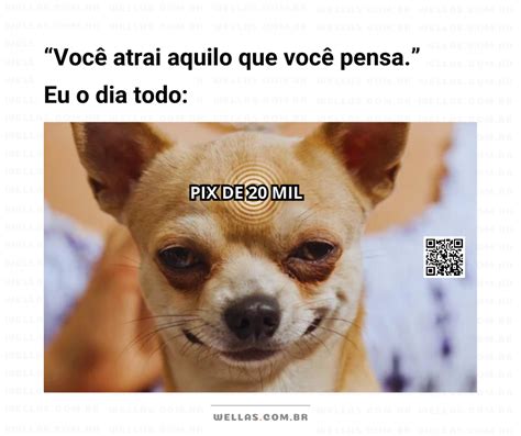 Memes Para Redes Sociais Wellas Pensamentos E Ideias