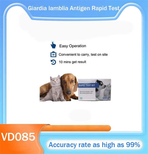 Giardia Lamblia Antigen Rapid Test Giardia Lamblia Treatment - China ...