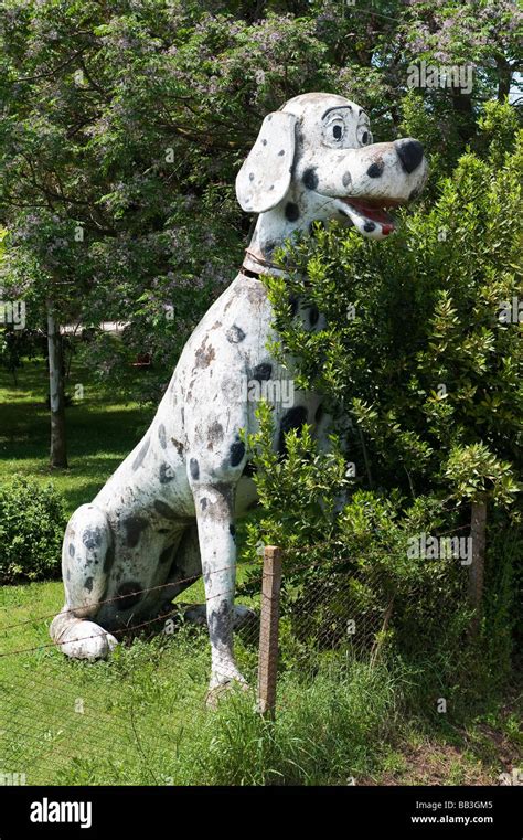 101 Dalmatians Stock Photos And 101 Dalmatians Stock Images Alamy