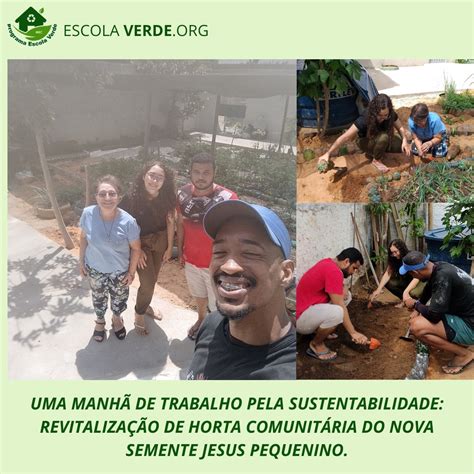 Uma Manh De Trabalho Pela Sustentabilidade Revitaliza O De Horta