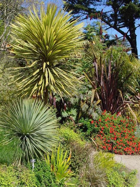 San Francisco Botanical Garden at Strybing Arboretum