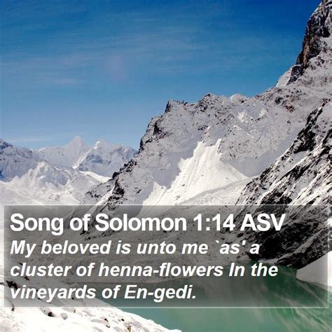 Song Of Solomon 1 14 ASV Bible Verse Pictures