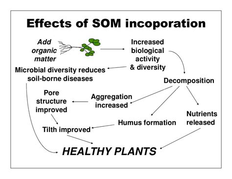 Managing Organic Matter for Soil Health and Fertility