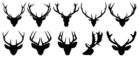 Set Of Antlers Vector Illustration Collection Of Black Deer Antlers