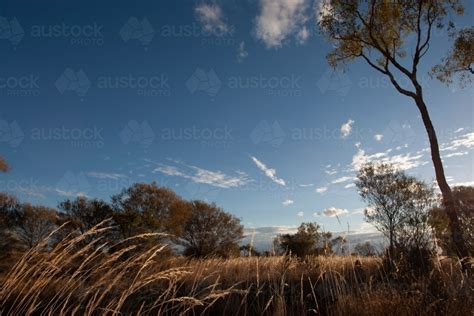 Image Of Open Grassland And Sky In Northern Territory Austockphoto