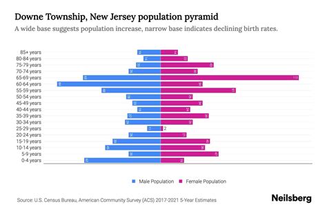 Downe Township New Jersey Population By Age 2023 Downe Township New