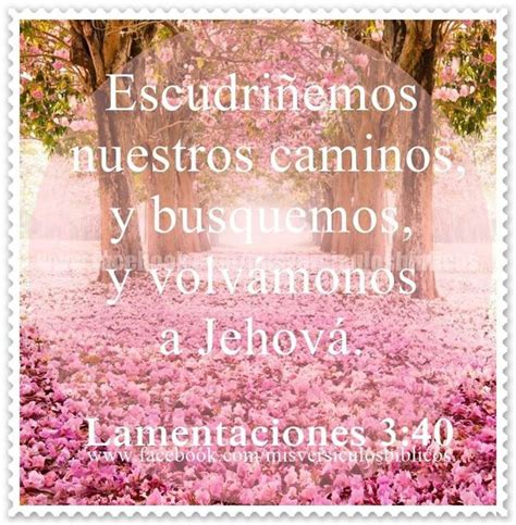 A Stamp With Pink Flowers On It And The Words Escudinimenos Nuestros