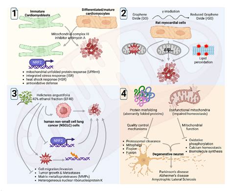 Figure 1 From Editorial Oxidative Stress Link Associated With