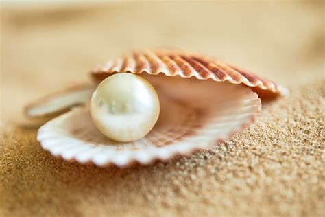 What Is Pearl Meaning Uses And Healing Properties Of Pearls