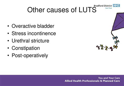 Ppt The Symptoms And Management Of Lower Urinary Tract Symptoms Luts