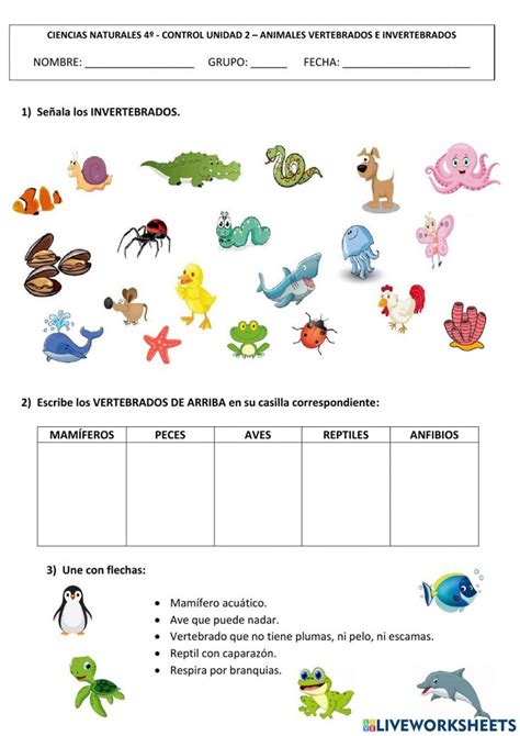 Vertebrados E Invertebrados Ep Worksheet School Subjects Workbook