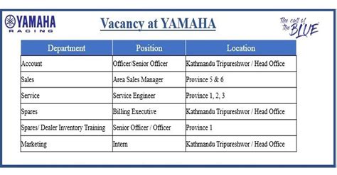 Intern Senior Officer Officer Billing Executive Service Engineer