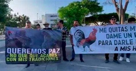 PUBLICAN decreto que prohíbe peleas de gallos y carreras de caballos en