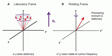 Magnetic Resonance Basics Magnetic Fields Nuclear Magnetic