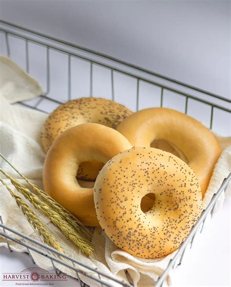 Plain Bagels - Harvest Baking