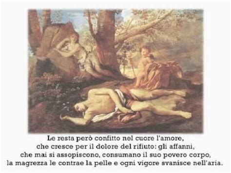 Eco E Narciso Di Ovidio Letta Da Paolo Rossini YouTube Narcisi