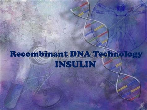 Ppt Recombinant Dna Technology Insulin Powerpoint Presentation Free