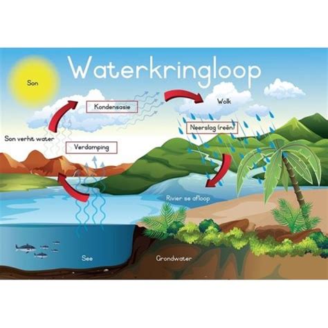 poster - waterkringloop (a2) | afrikaans plakkaat | satoytrade