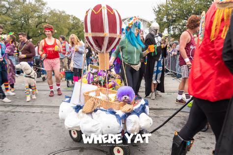 Krewe of Barkus | Where Y'at