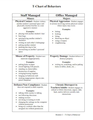 T Chart - 19+ Examples, Format, Word, Excel, How to Use, PDF