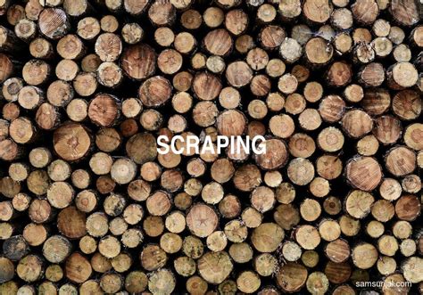 arti kata scraping kamus bahasa inggris terjemahan indonesia