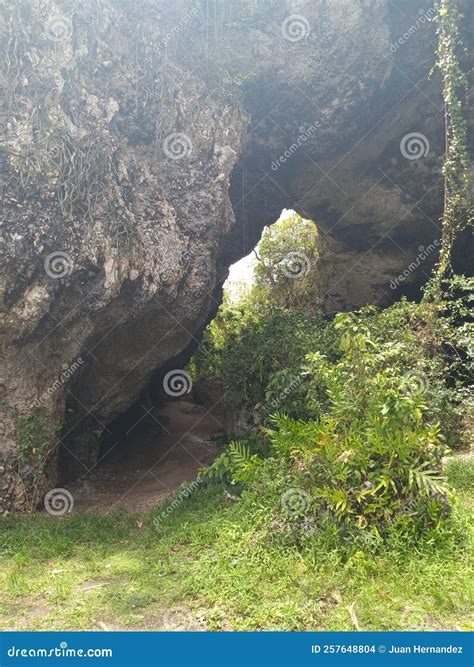 View of a Cave with Two Entrances Filled with Lush Vegetation and ...