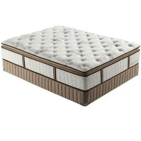 Sleepwell Bed Mattress Sleepwell Foam Sheet Latest Price Dealers