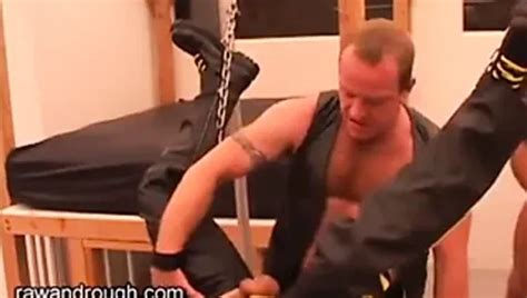 Free Rough Bear Gay Porn Videos 2 XHamster