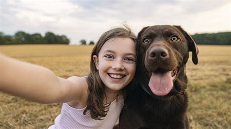 ¿los Perros Hablan Y Se Comunican Con Los Humanos Infobae