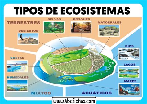 Clasificación Y Tipos De Ecosistemas Naturales Hot Sex Picture