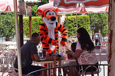 Ranking All of the Disneyland Character Dining Experiences