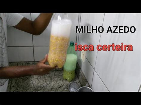 Jeito F Cil Como Azedar O Milho Verde Pra Fazer Ceva E Pescar