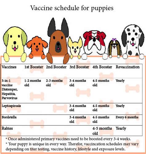 Dog Vaccination Schedule | DogListen.com