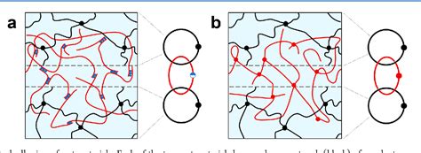 Figure 1 From Covalent Topological Adhesion Semantic Scholar